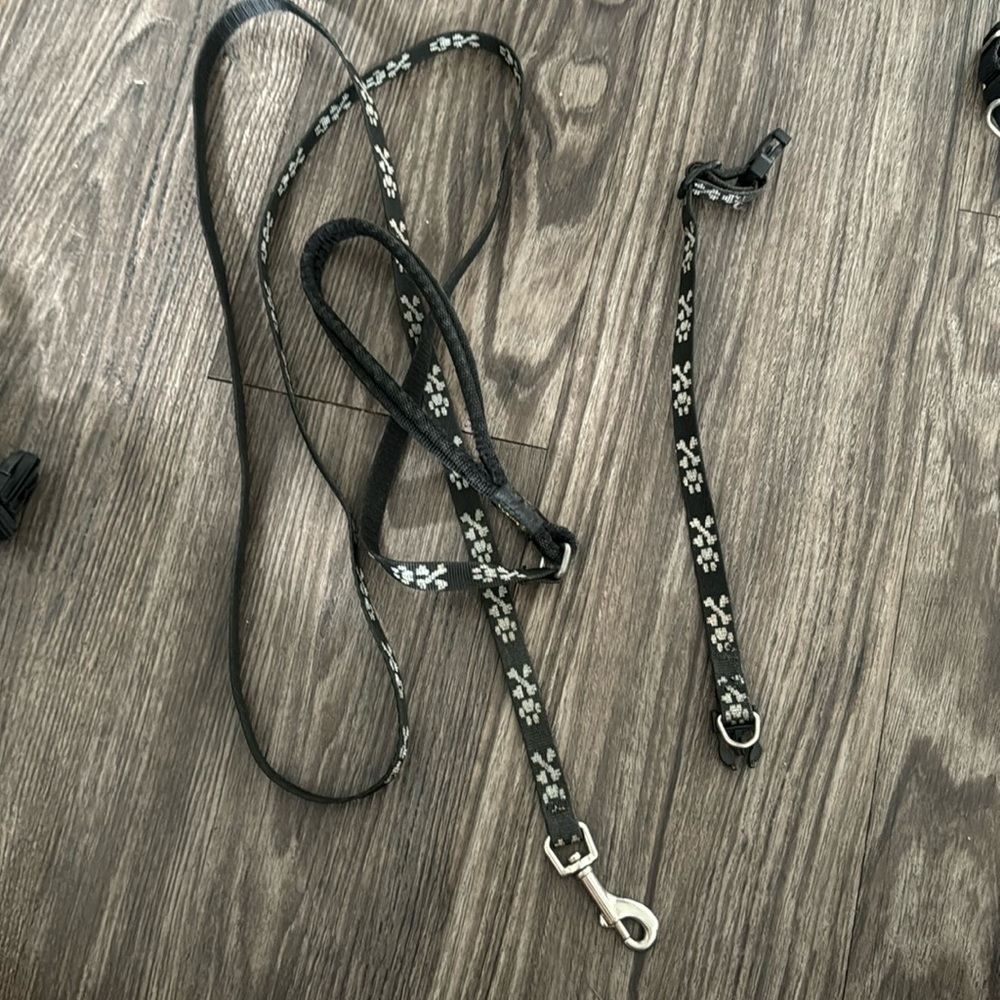 Dog leash and collar (set)